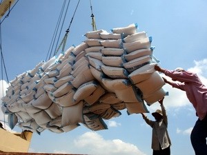 Membantu badan usaha memperhebat ekspor ke pasar Timur Tengah-Afrika - ảnh 1